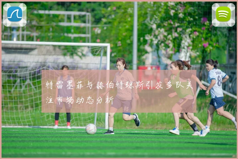 特雷墨菲与赫伯特琼斯引发多队关注市场动态分析
