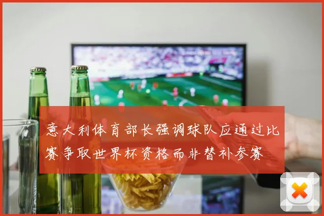意大利体育部长强调球队应通过比赛争取世界杯资格而非替补参赛
